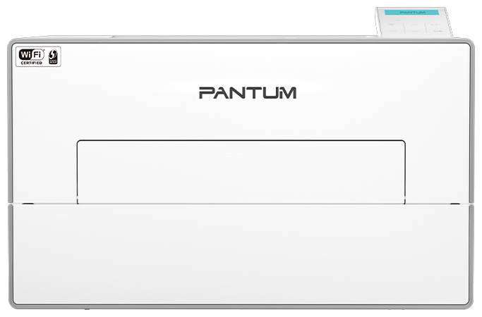 Pantum BP4210DW