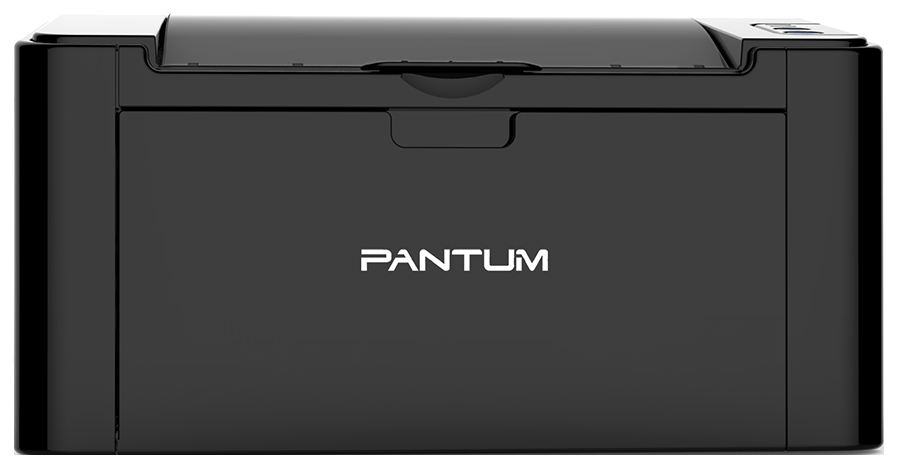 Pantum P2500